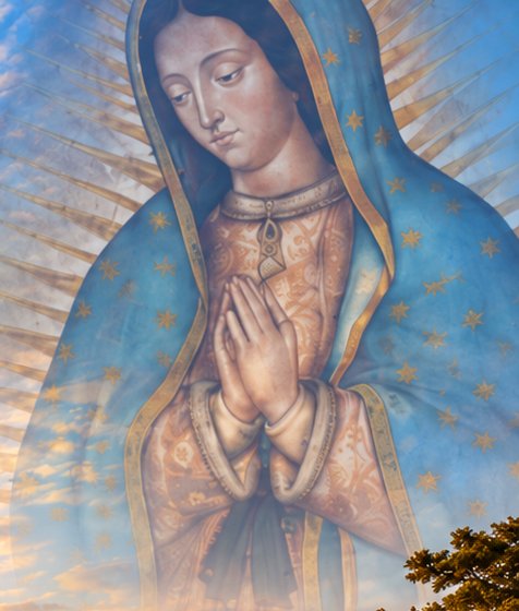 The image of Our Lady of Guadalupe
